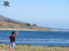 Word on the street is that flying kites could be made illegal on California beaches, along with drinking, dogs and pretty much all fun.