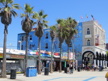 A good look at the Venice Beach boardwalk - all sorts on this path.