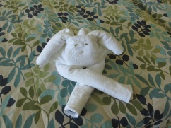 One of the best parts of an all-inclusive are the towel animals the maid makes for you. The better the tip, the better the animal. This was worth 3 pesos.