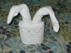A bunny.